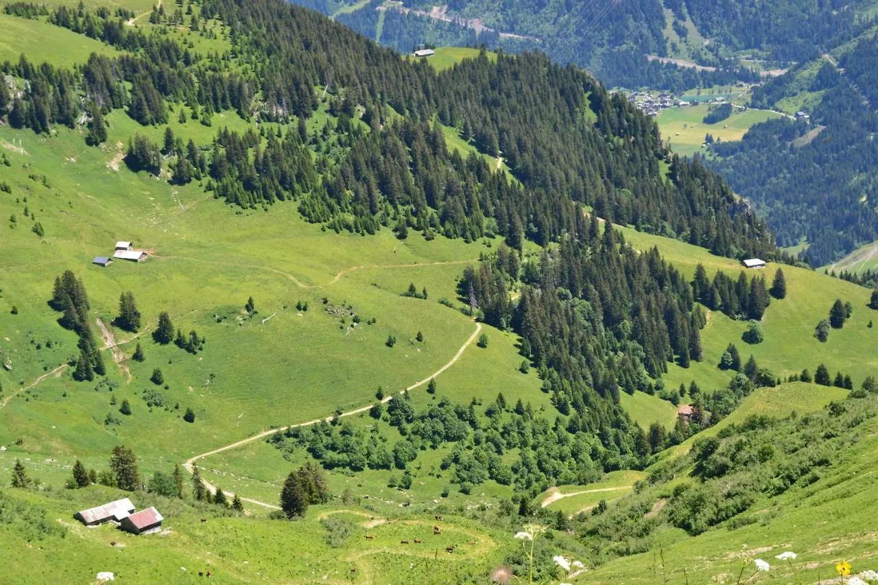 Chardonneret Apartment Chatel
