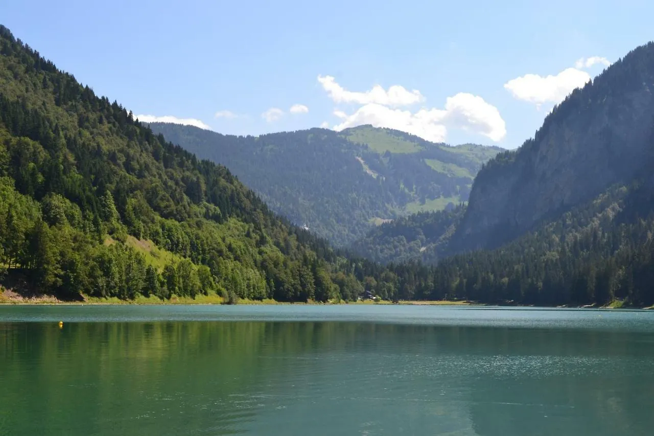 Chardonneret Apartment Chatel